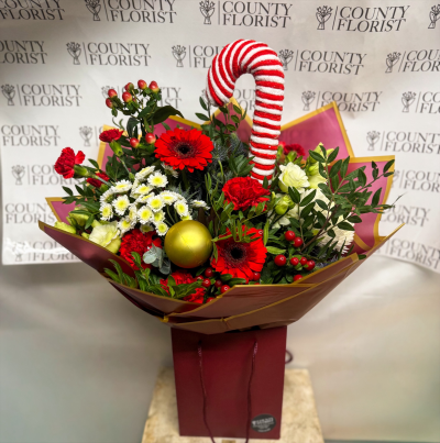 Candy Cane aquapack Product Image