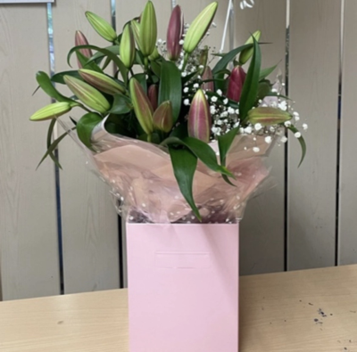 Lovely lily pink Product Image